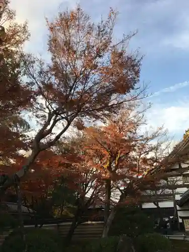 高台寺（高台寿聖禅寺・高臺寺）(京都府)