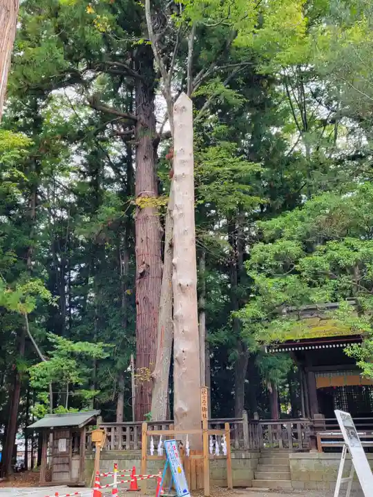 諏訪大社下社秋宮のその他建物