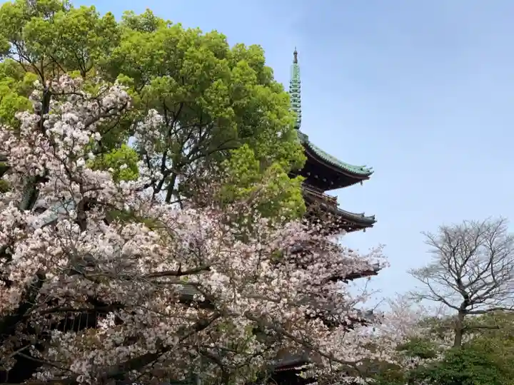 上野東照宮の自然