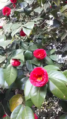 城南宮(京都府)