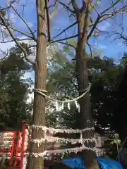 多摩川浅間神社の庭園