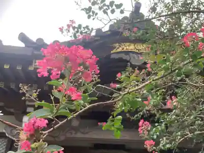 妙隆寺(神奈川県)