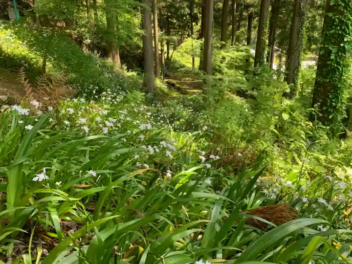 岡太神社の自然
