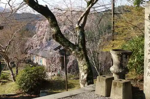 金峯山寺の景色