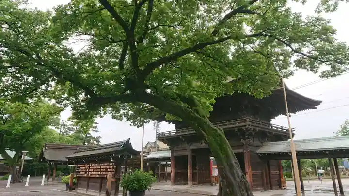 尾張大國霊神社(国府宮)の景色