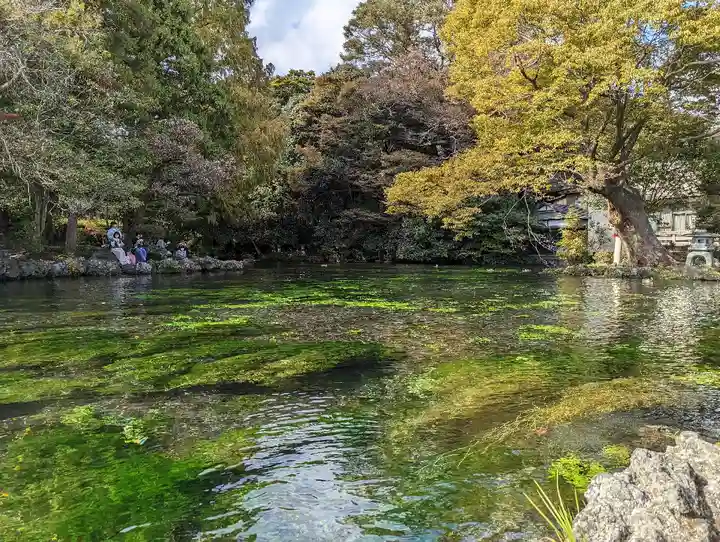 富士山本宮浅間大社(静岡県)