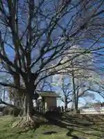 神明神社(千葉県)