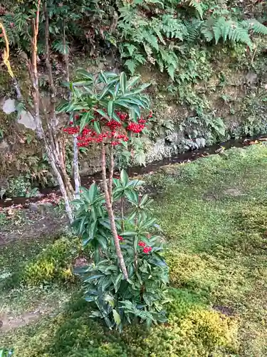 法然院(京都府)