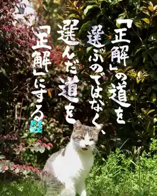 専念寺(大阪府)