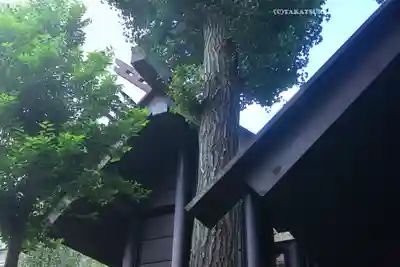 高円寺氷川神社(東京都)