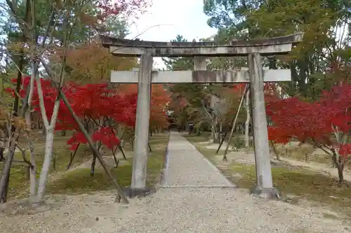 仁和寺の鳥居