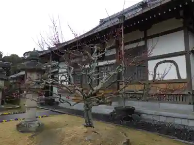 報恩寺の自然