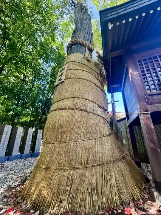 堀越神社の{uncategorized: "未分類", other: "その他", undefined: "問題あり", building: "その他建物", grave: "お墓", sacred_gate: "鳥居", guardian: "狛犬", statue: "像", buddha: "仏像", history: "歴史", nature: "自然", garden: "庭園", animal: "動物", pagoda: "塔", temizu: "手水舎", mountain_gate: "山門・神門", sanctuary: "本殿・本堂", subordinate: "末社・摂社", art: "芸術", scenery: "景色", jizo: "地蔵", ema: "絵馬", goshuin: "御朱印", omikuji: "おみくじ", items: "授与品その他", amulet: "お守り", goshuincho: "御朱印帳", eats: "食事", festival: "お祭り", votive_dance: "神楽", shichigosan: "七五三参", wedding: "結婚式", experience: "体験その他", initially: "初詣", around: "周辺", anti_infection: "感染症対策"}