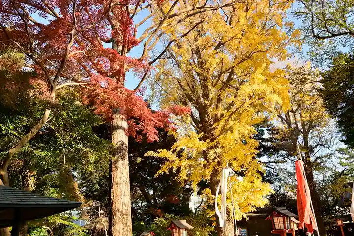 明王院(満願寺別院)の自然