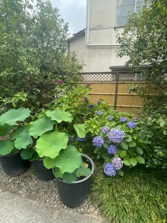 行願寺(革堂)(京都府)