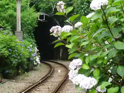 御霊神社の周辺