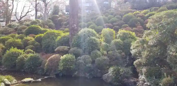 根津神社の庭園