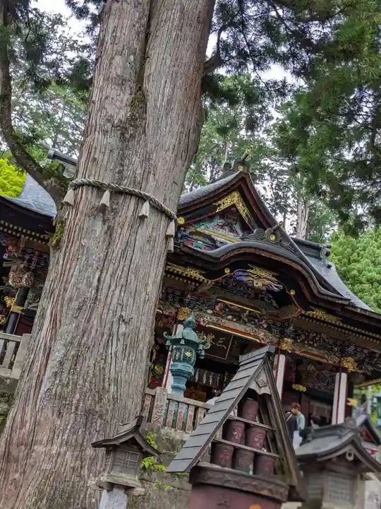 三峯神社(埼玉県)