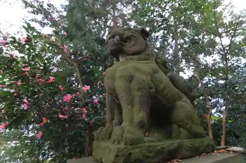 愛宕神社の狛犬