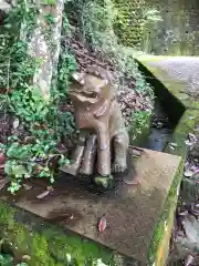 内田神社の狛犬