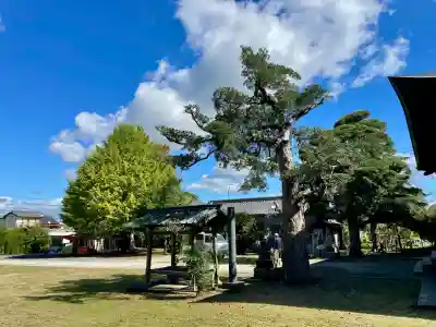 館山神社(千葉県)