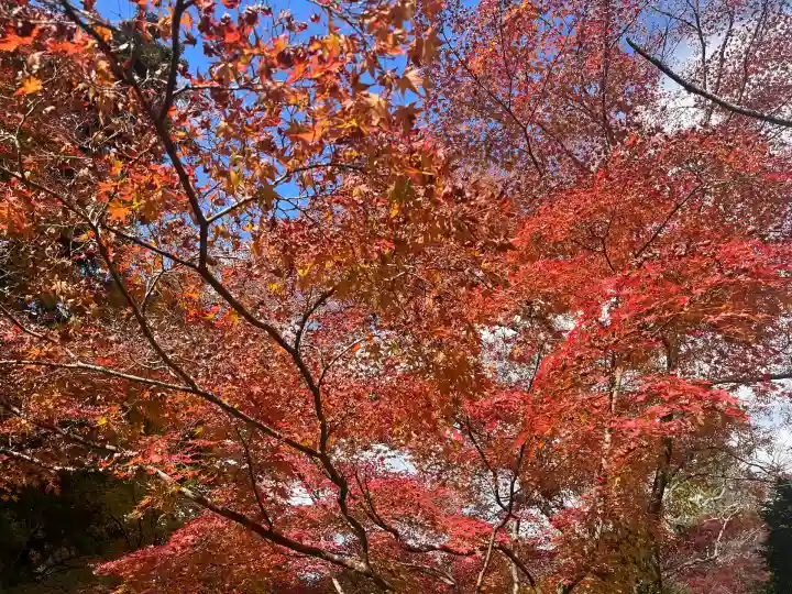 神峯山寺(大阪府)
