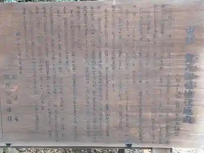 賀茂御祖神社（下鴨神社）(京都府)