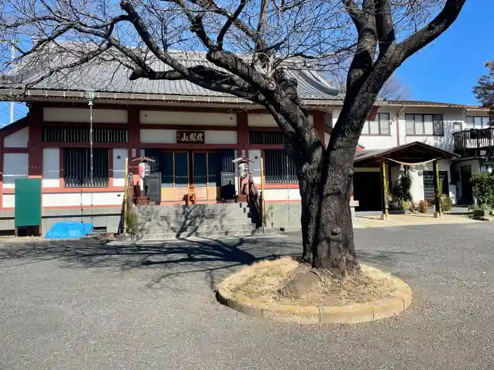 日輪寺の{uncategorized: "未分類", other: "その他", undefined: "問題あり", building: "その他建物", grave: "お墓", sacred_gate: "鳥居", guardian: "狛犬", statue: "像", buddha: "仏像", history: "歴史", nature: "自然", garden: "庭園", animal: "動物", pagoda: "塔", temizu: "手水舎", mountain_gate: "山門・神門", sanctuary: "本殿・本堂", subordinate: "末社・摂社", art: "芸術", scenery: "景色", jizo: "地蔵", ema: "絵馬", goshuin: "御朱印", omikuji: "おみくじ", items: "授与品その他", amulet: "お守り", goshuincho: "御朱印帳", eats: "食事", festival: "お祭り", votive_dance: "神楽", shichigosan: "七五三参", wedding: "結婚式", experience: "体験その他", initially: "初詣", around: "周辺", anti_infection: "感染症対策"}