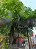 藤神稲荷神社(東京都)