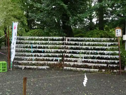 米之宮浅間神社のおみくじ