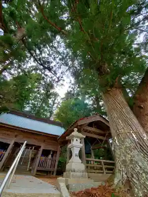 堂山王子神社のその他建物
