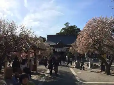 綱敷天満宮(福岡県)