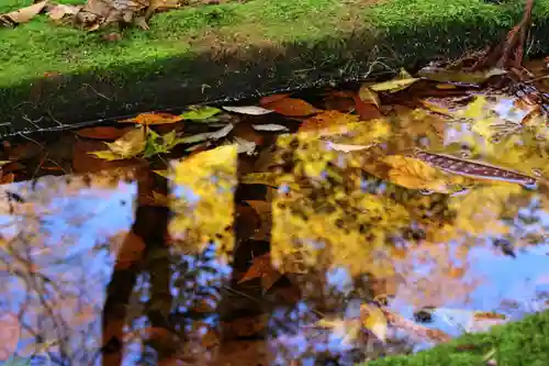 隠津島神社の手水舎