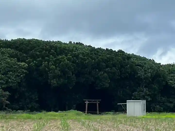 多原御嶽の{uncategorized: "未分類", other: "その他", undefined: "問題あり", building: "その他建物", grave: "お墓", sacred_gate: "鳥居", guardian: "狛犬", statue: "像", buddha: "仏像", history: "歴史", nature: "自然", garden: "庭園", animal: "動物", pagoda: "塔", temizu: "手水舎", mountain_gate: "山門・神門", sanctuary: "本殿・本堂", subordinate: "末社・摂社", art: "芸術", scenery: "景色", jizo: "地蔵", ema: "絵馬", goshuin: "御朱印", omikuji: "おみくじ", items: "授与品その他", amulet: "お守り", goshuincho: "御朱印帳", eats: "食事", festival: "お祭り", votive_dance: "神楽", shichigosan: "七五三参", wedding: "結婚式", experience: "体験その他", initially: "初詣", around: "周辺", anti_infection: "感染症対策"}