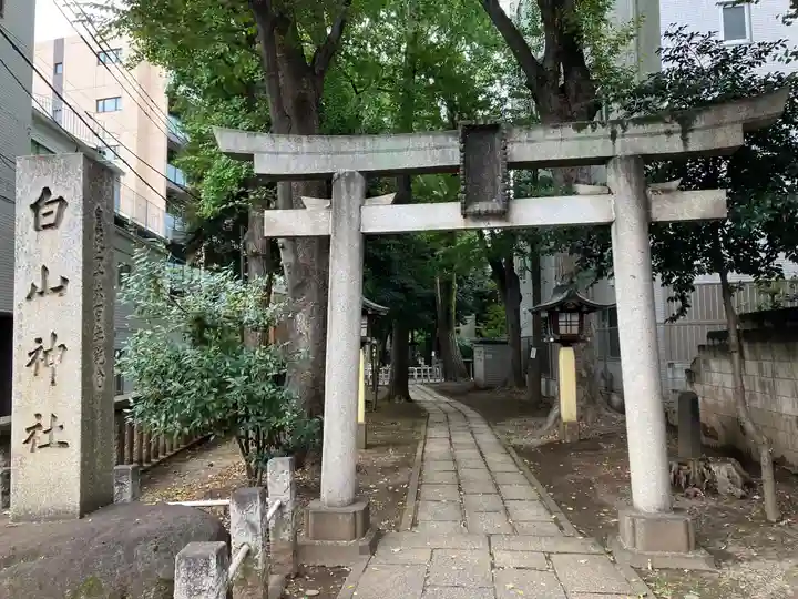 荻窪白山神社の鳥居