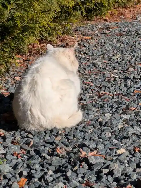 盛岡八幡宮(岩手県)