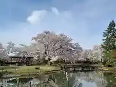 伊佐須美神社の庭園