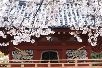 喜多院の{uncategorized: "未分類", other: "その他", undefined: "問題あり", building: "その他建物", grave: "お墓", sacred_gate: "鳥居", guardian: "狛犬", statue: "像", buddha: "仏像", history: "歴史", nature: "自然", garden: "庭園", animal: "動物", pagoda: "塔", temizu: "手水舎", mountain_gate: "山門・神門", sanctuary: "本殿・本堂", subordinate: "末社・摂社", art: "芸術", scenery: "景色", jizo: "地蔵", ema: "絵馬", goshuin: "御朱印", omikuji: "おみくじ", items: "授与品その他", amulet: "お守り", goshuincho: "御朱印帳", eats: "食事", festival: "お祭り", votive_dance: "神楽", shichigosan: "七五三参", wedding: "結婚式", experience: "体験その他", initially: "初詣", around: "周辺", anti_infection: "感染症対策"}