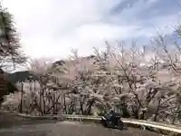 兒原稲荷神社の自然