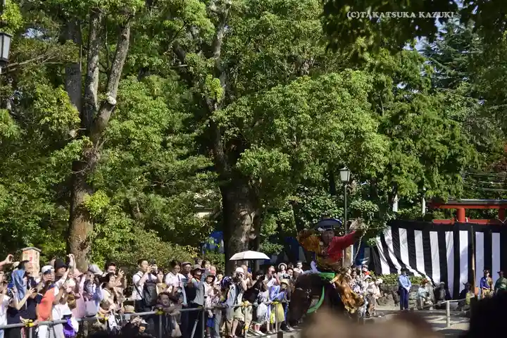 鶴岡八幡宮(神奈川県)