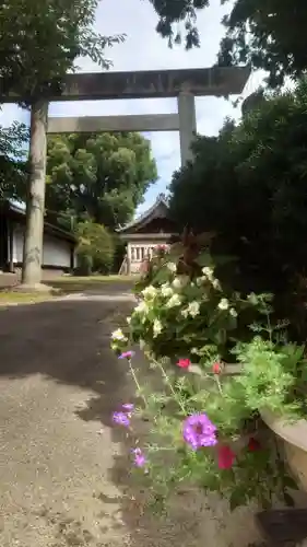 萩園神社の鳥居