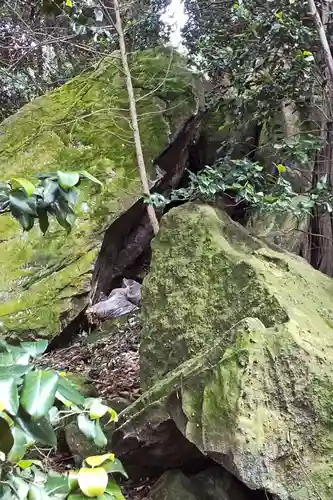 住吉神社の自然