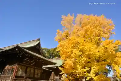 葛飾八幡宮のその他建物