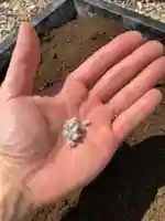 總社 和田八幡宮(福井県)