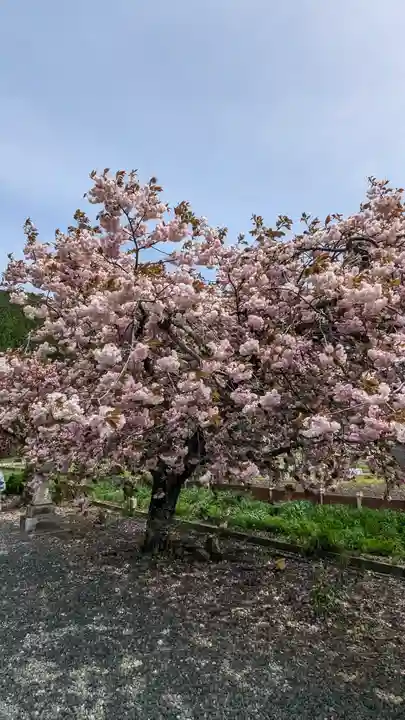 伊香具神社(滋賀県)
