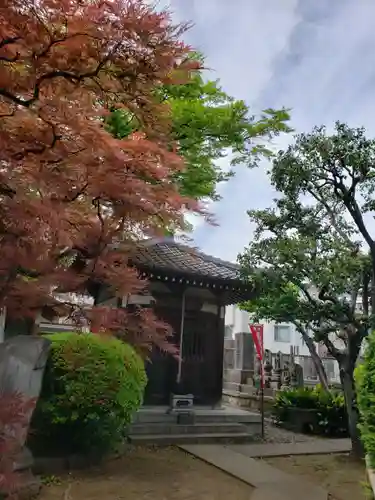 大円寺のその他建物