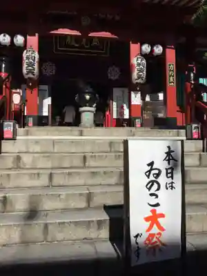 摩利支天 徳大寺の本殿・本堂