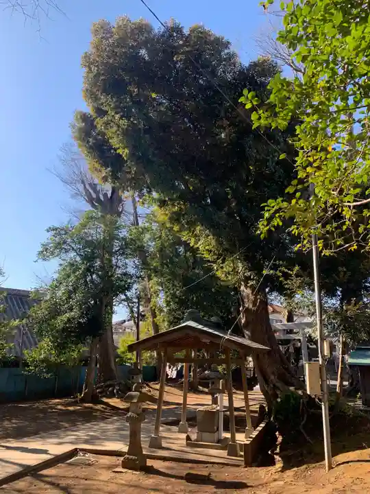 神明大神社(千葉県)