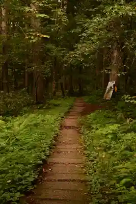 天命稲荷神社の自然
