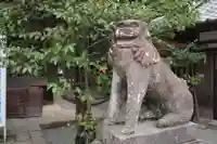 柳川総鎮守 日吉神社の狛犬